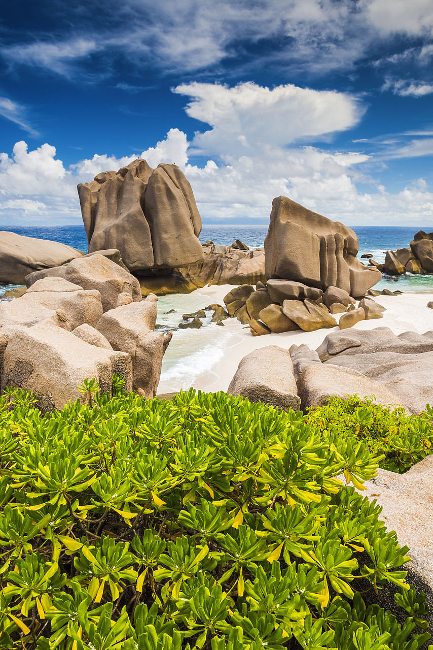 #150384-1 - Anse Marron Beach, La Digue, Seychelles