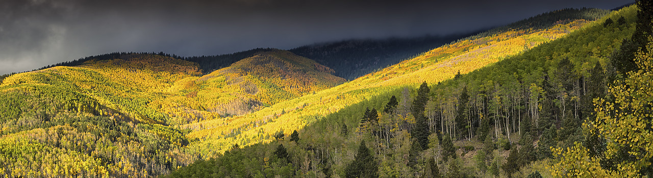 #150483-2 - Santa Fe National Forest in Autumn, Santa Fe, New Mexico, USA