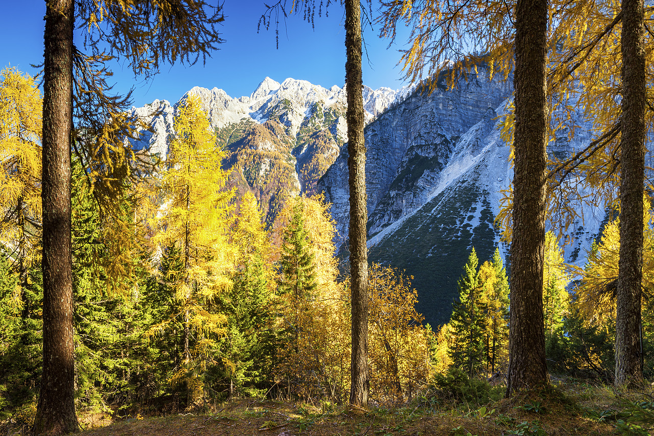 #150531-1 - Julian Alps in Autumn, near Kranjska Gora, Slovenia, Europe