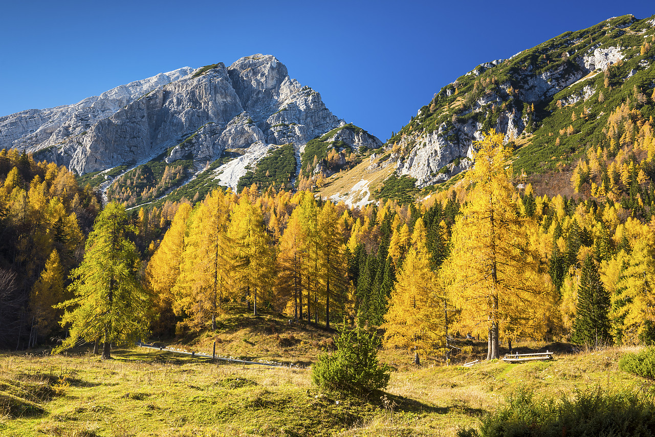 #150532-1 - Julian Alps in Autumn, near Kranjska Gora, Slovenia, Europe