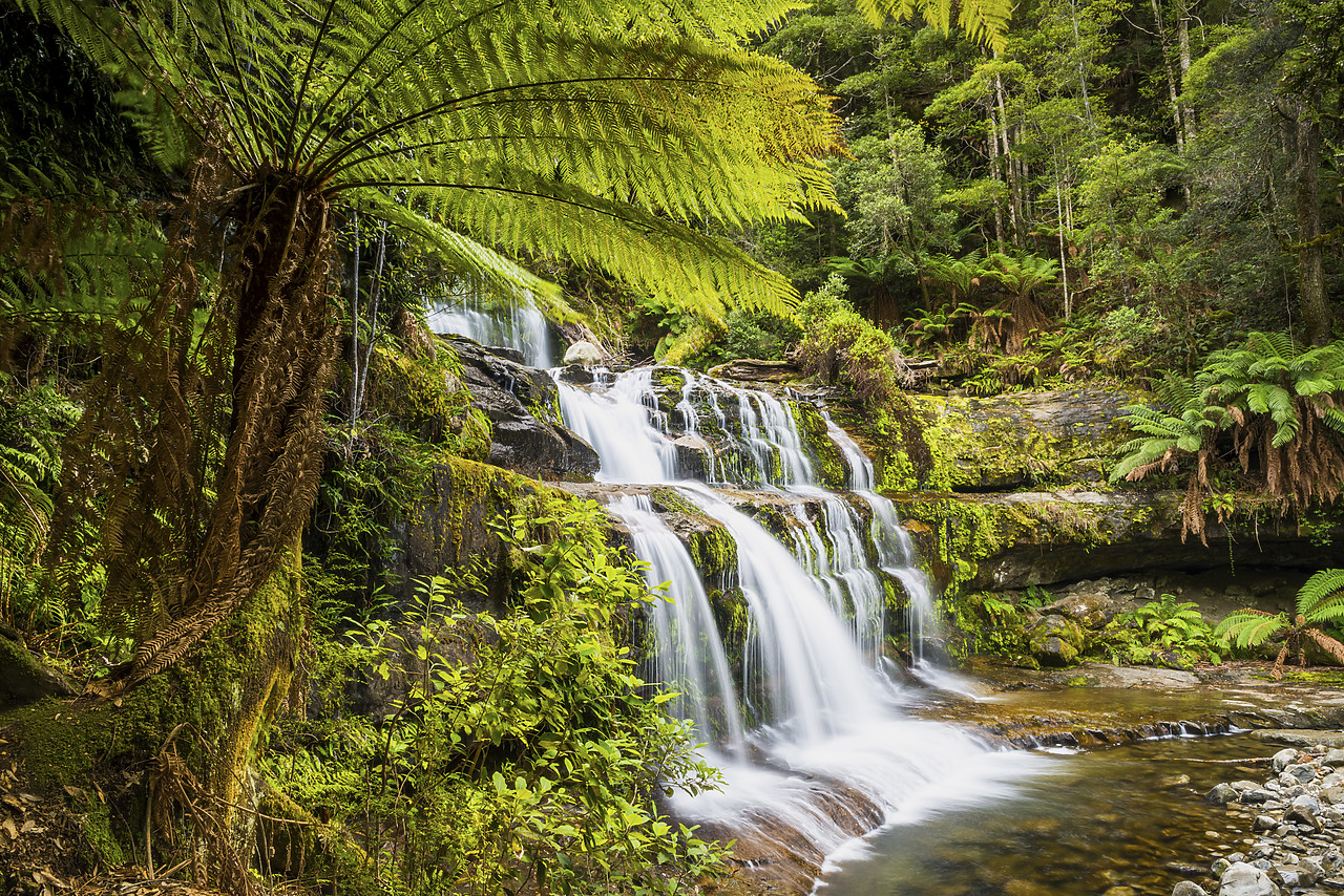 #160093-1 - Liffey Falls, Tasmania