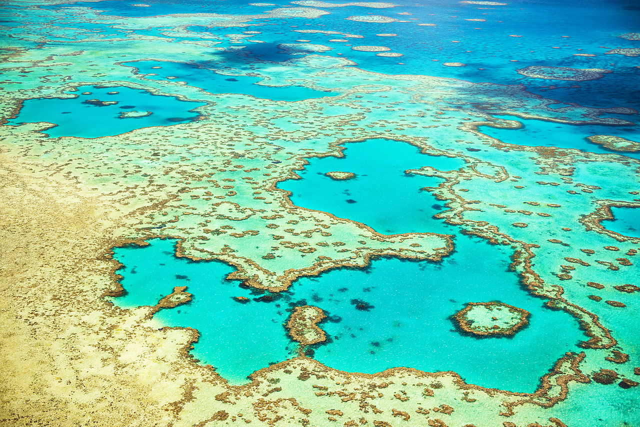 #160104-1 - Great Barrier Reef, Queensland, Australia