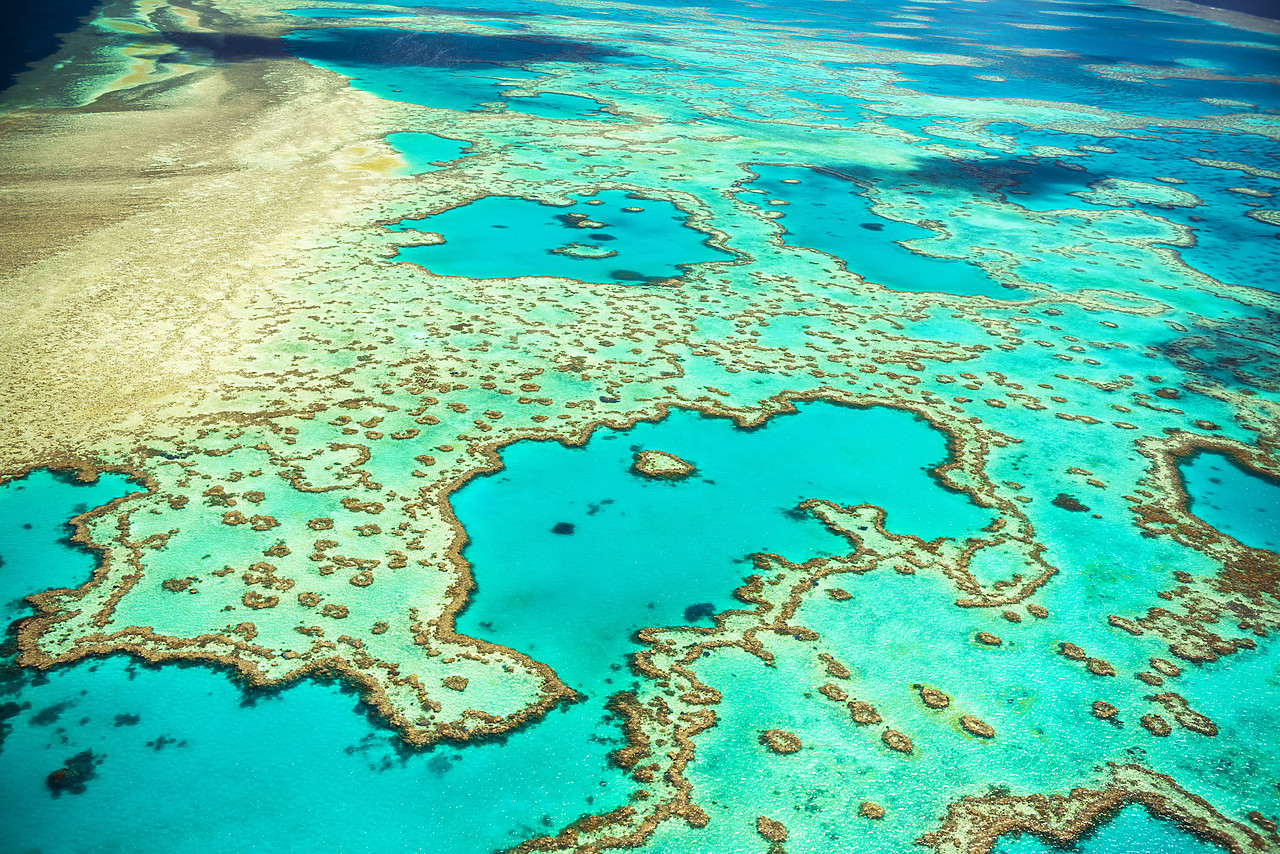 #160105-1 - Great Barrier Reef, Queensland, Australia