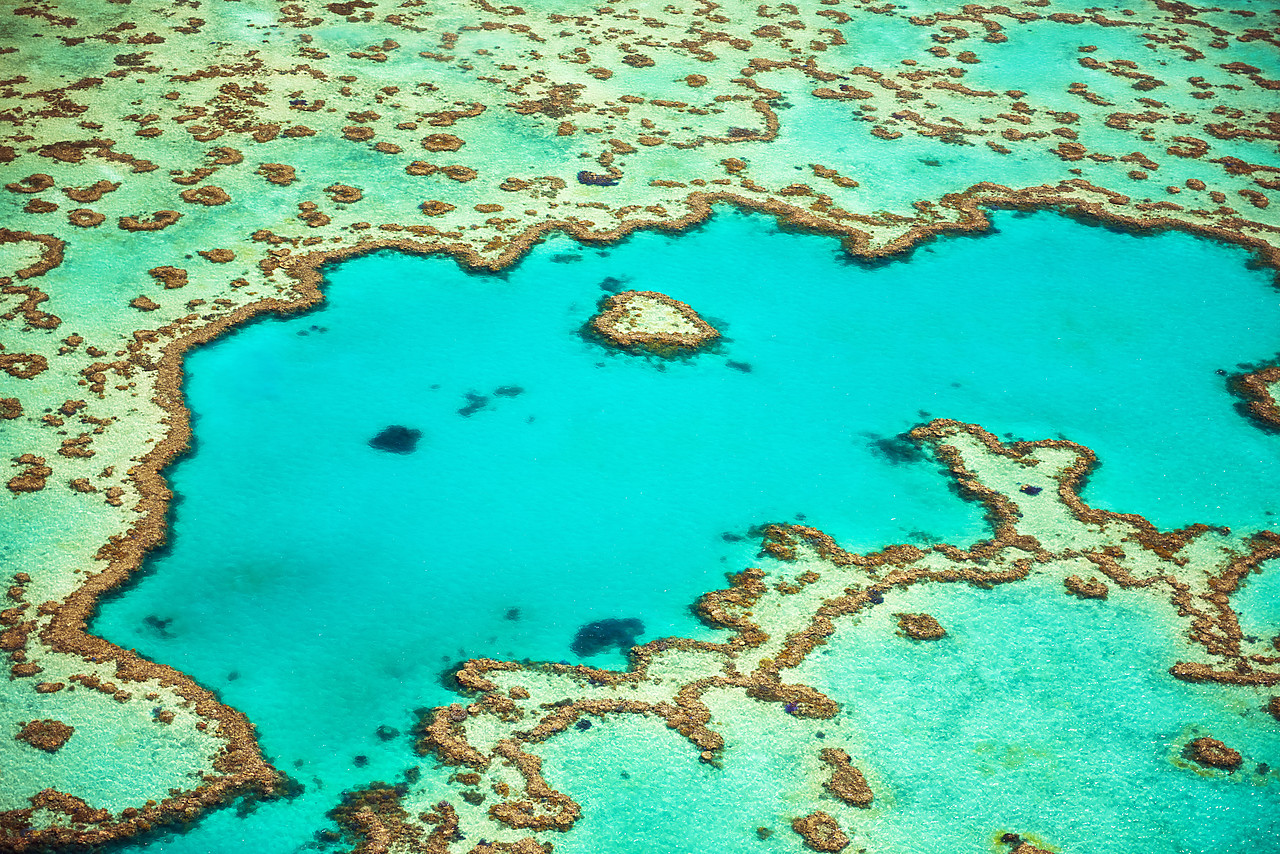 #160106-1 - Great Barrier Reef, Queensland, Australia