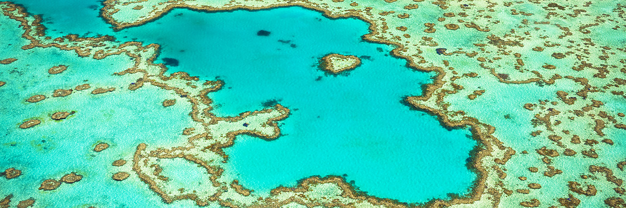 #160108-1 - Great Barrier Reef, Queensland, Australia