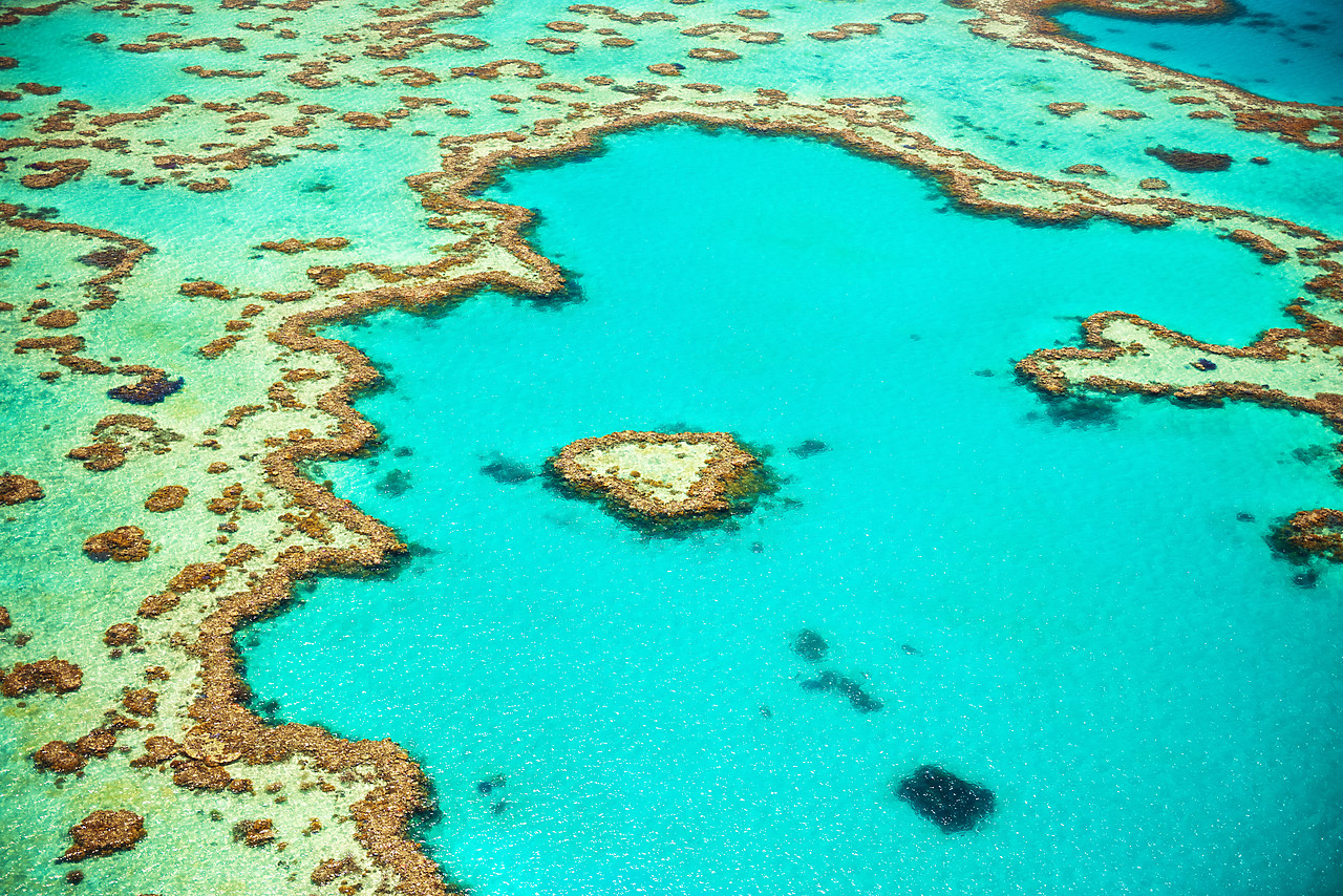 #160110-1 - Great Barrier Reef, Queensland, Australia