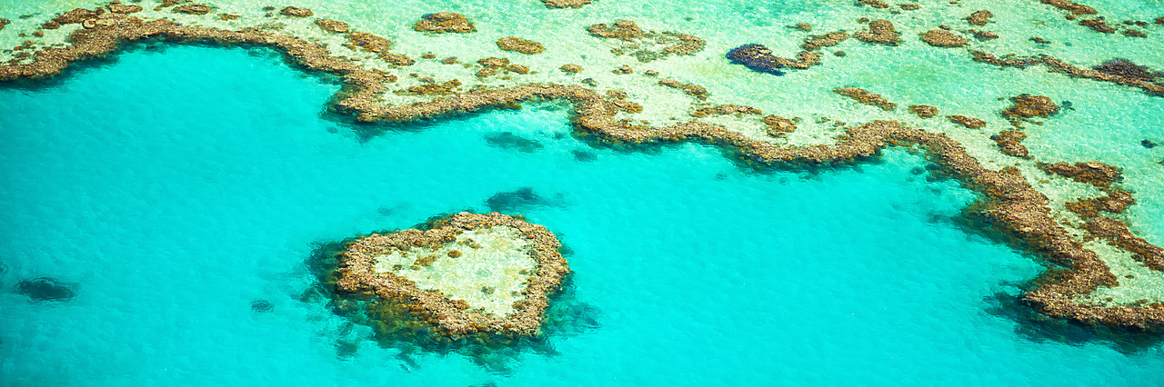 #160111-2 - Heart Reef, Great Barrier Reef, Queensland, Australia