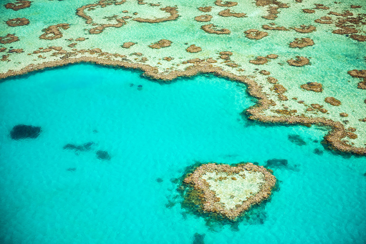 #160114-1 - Heart Reef, Great Barrier Reef, Queensland, Australia
