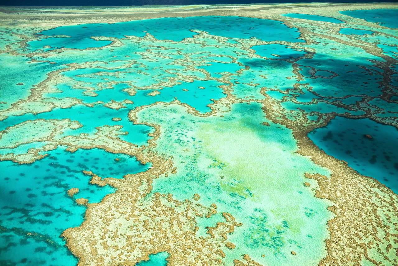 #160119-1 - Great Barrier Reef, Queensland, Australia