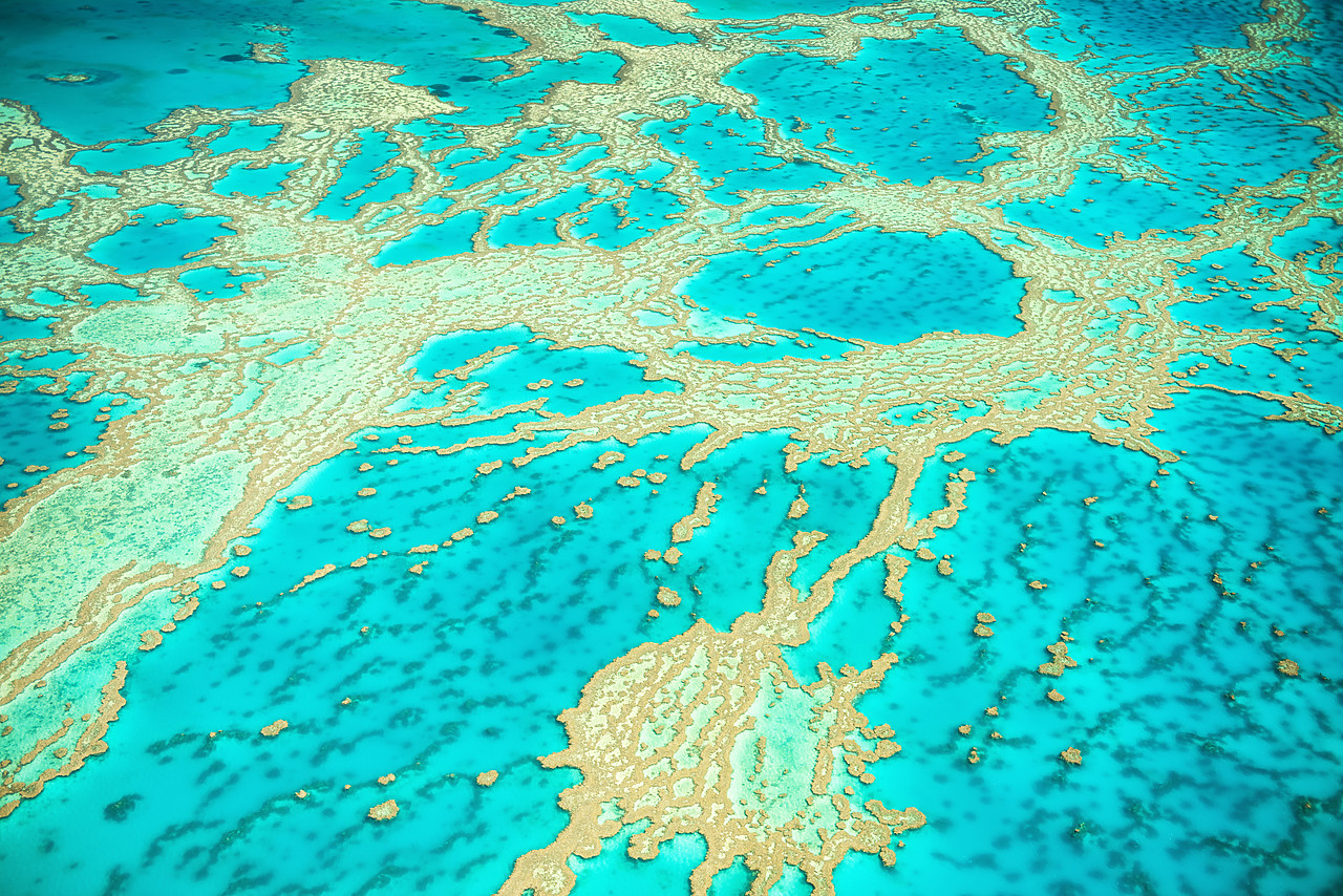 #160120-1 - Great Barrier Reef, Queensland, Australia