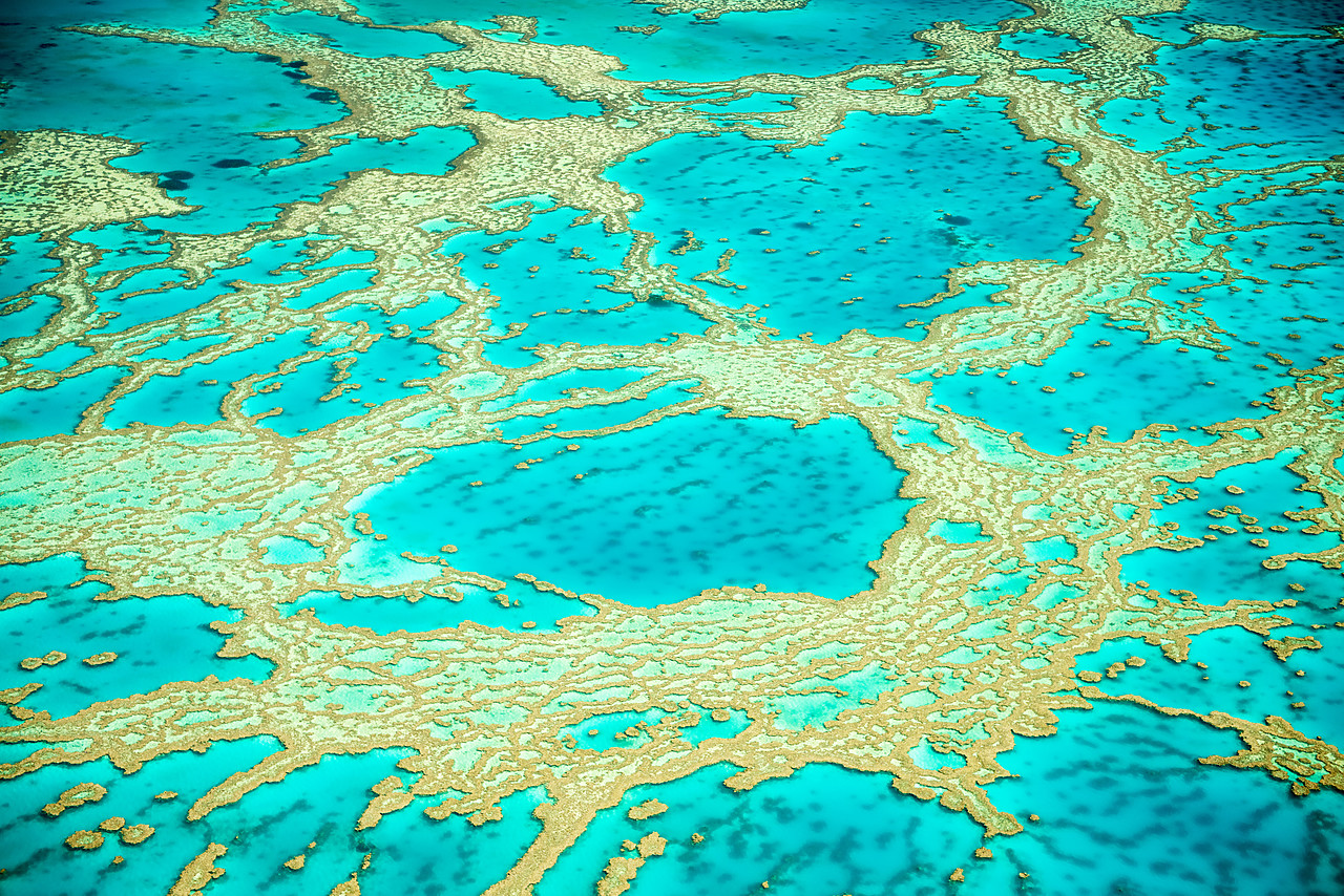 #160121-1 - Great Barrier Reef, Queensland, Australia