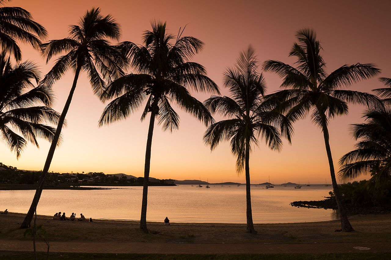 #160138-1 - Palm Trees at Sunset, Airlie Beach, Queensland, Australia