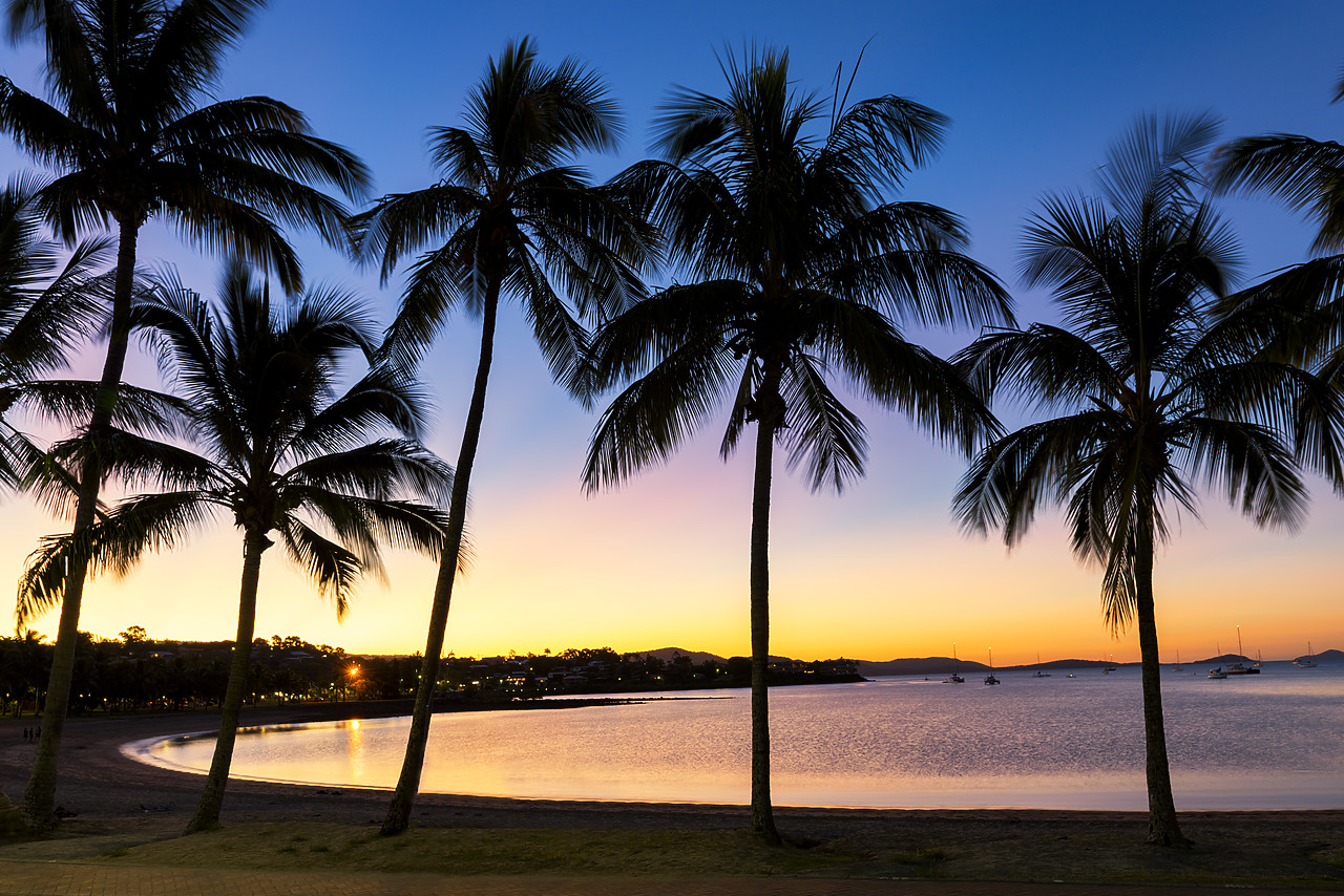 #160140-1 - Palm Trees at Sunset, Airlie Beach, Queensland, Australia