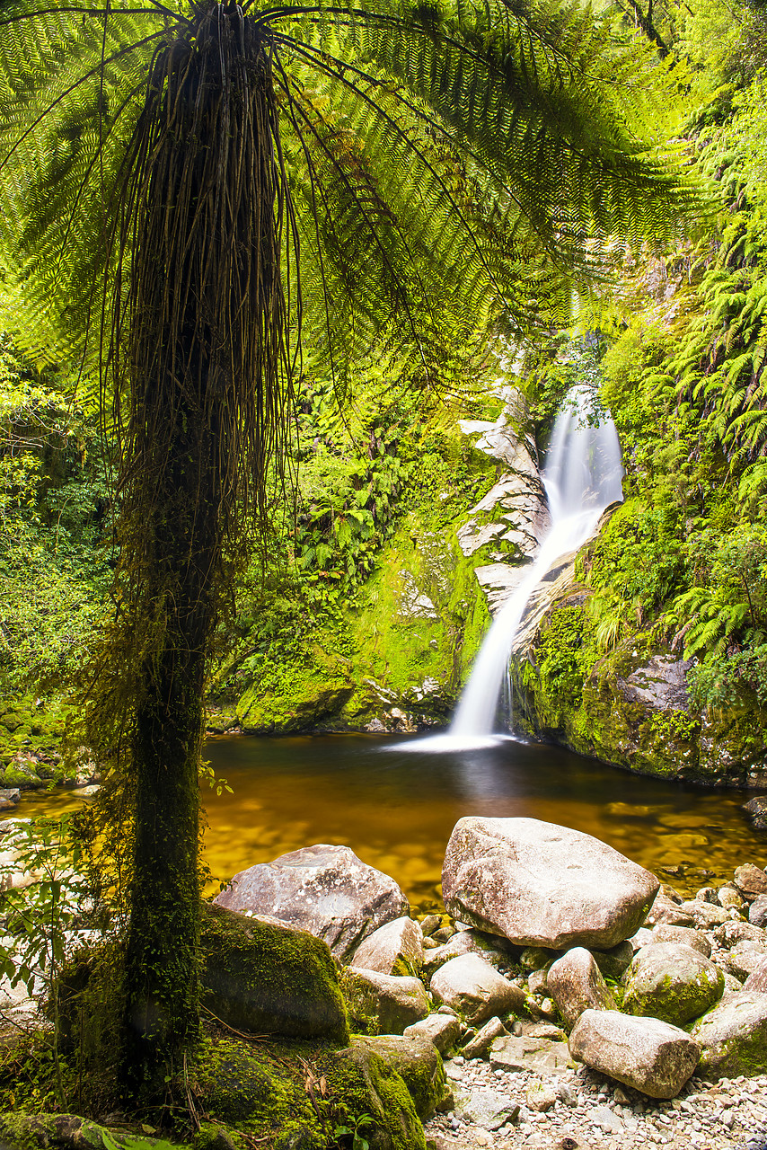 #160180-1 - Dorothy Falls, near Hokitika, New Zealand