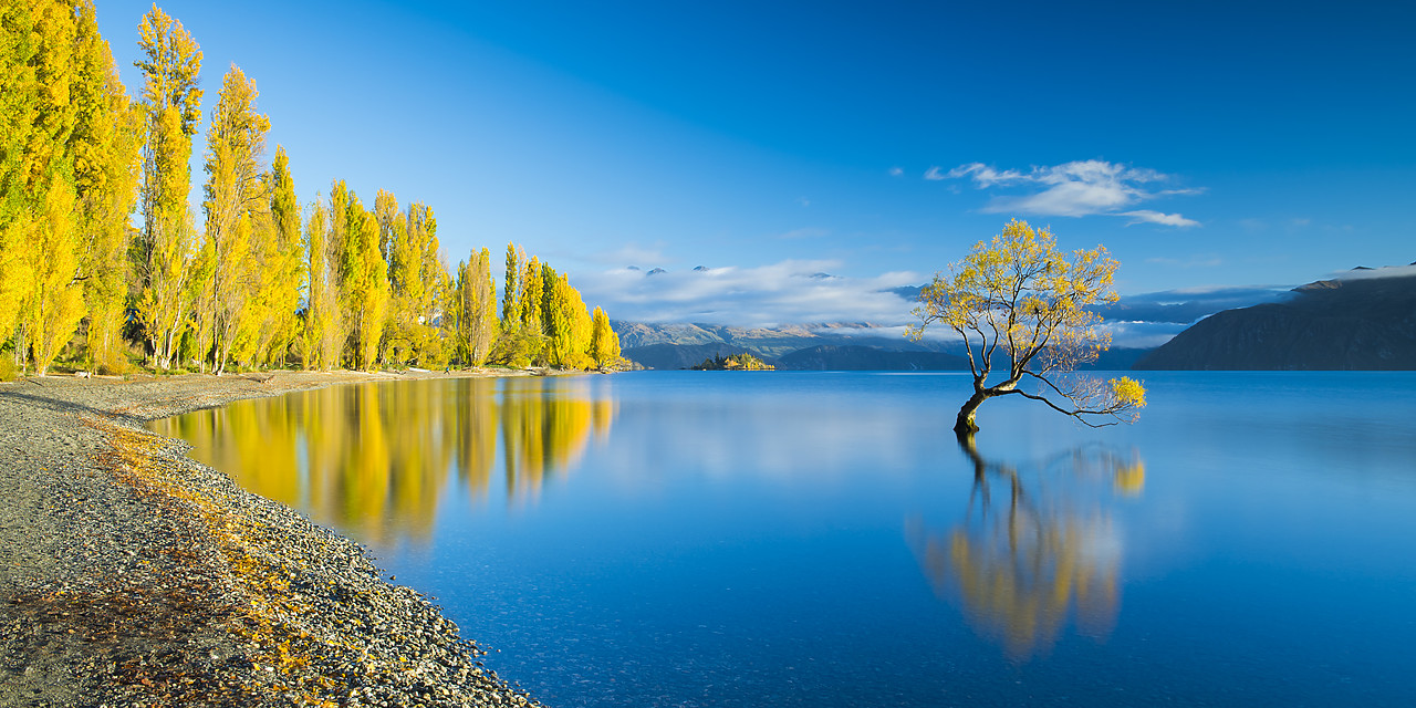 #160188-2 - Wanaka Tree Reflections, Lake Wanaka, New Zealand