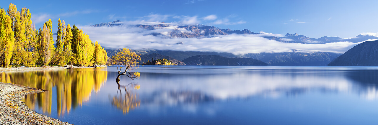 #160189-1 - Wanaka Tree Reflections, Lake Wanaka, New Zealand