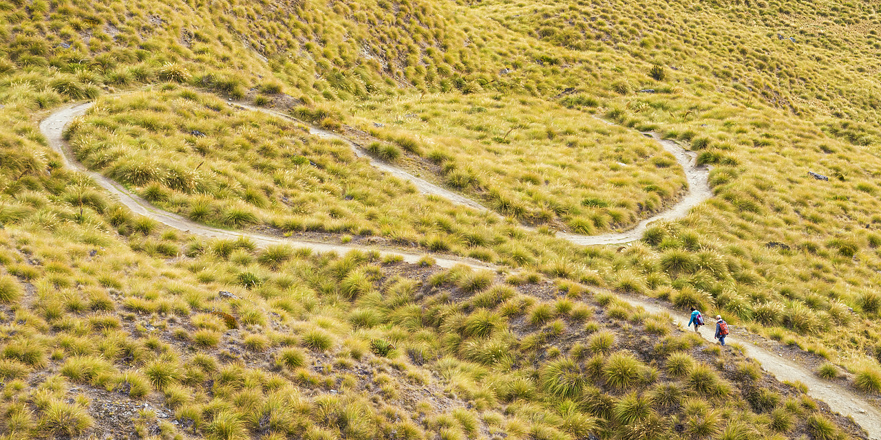 #160200-1 - HIker's on Winding Trail, New Zealand