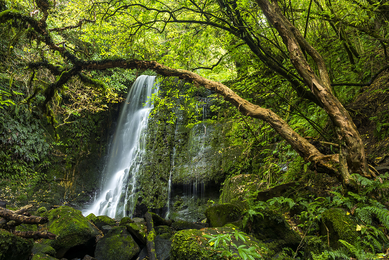 #160209-1 - Matai Falls, The Catlins, New Zealand