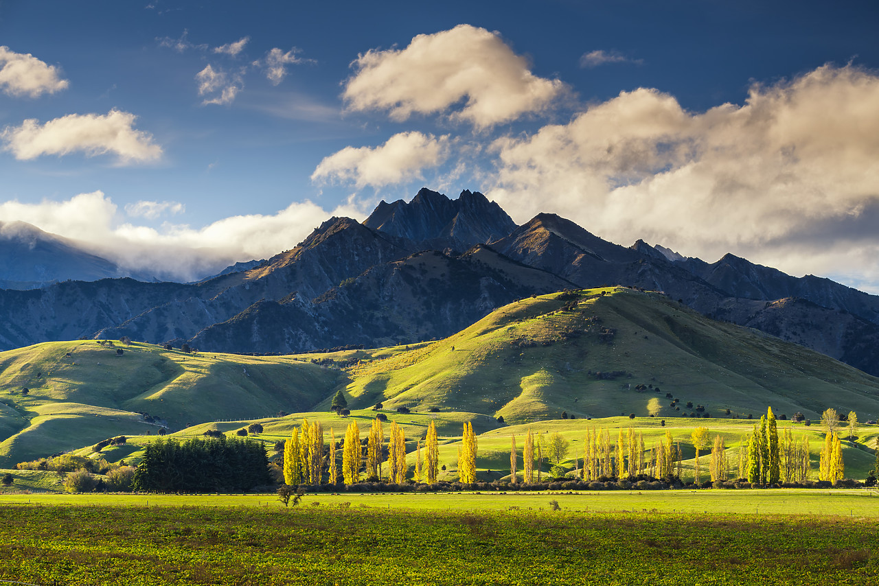 #160225-1 - Mt. Burke, near Wanaka, New Zealand