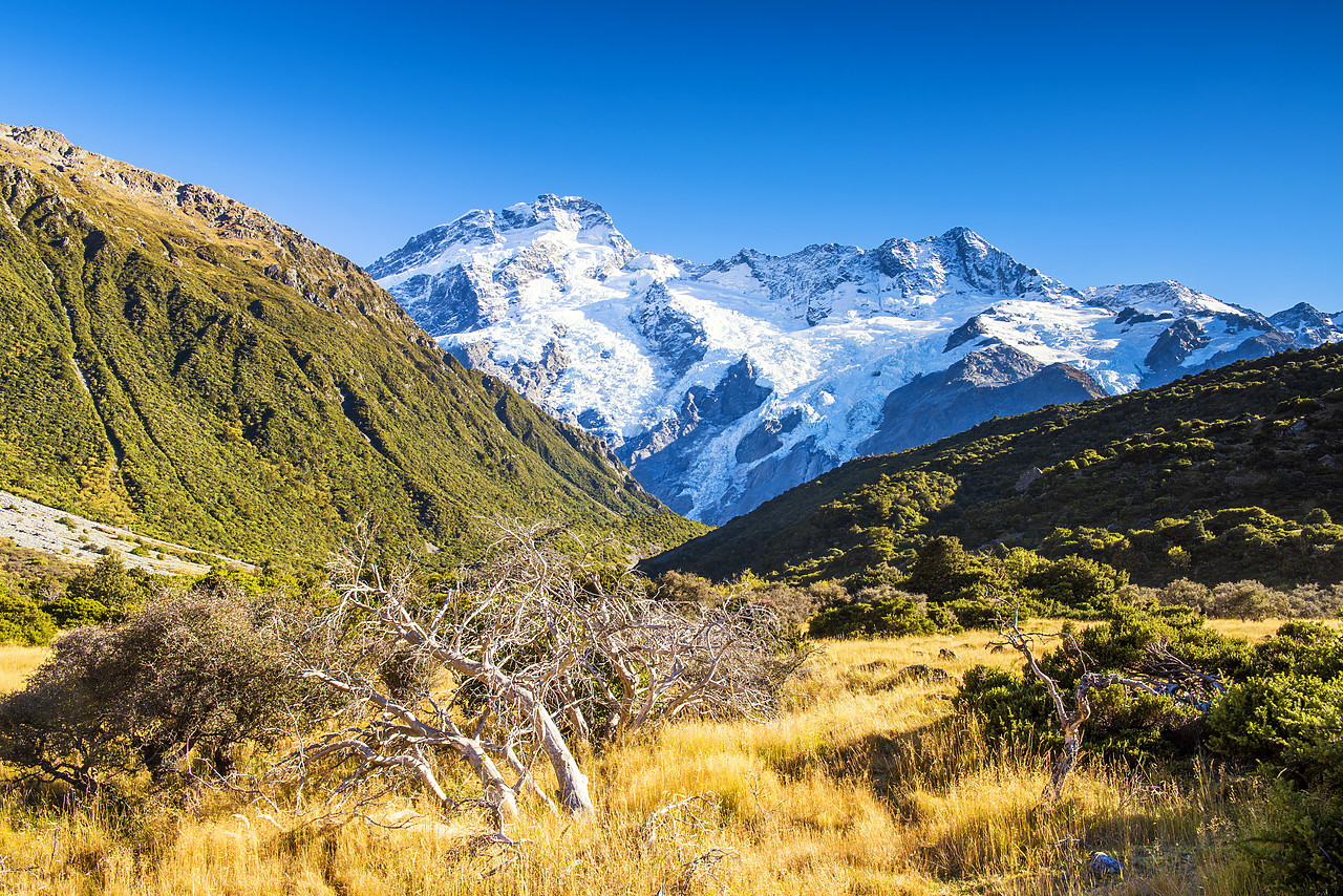 #160258-1 - Mt. Cook & Mt. Tasman, New Zealand