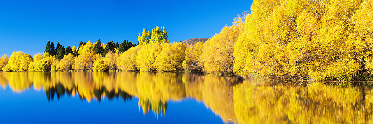 #160262-1 - Wairepo Arm Reflections in Autumn, New Zealand