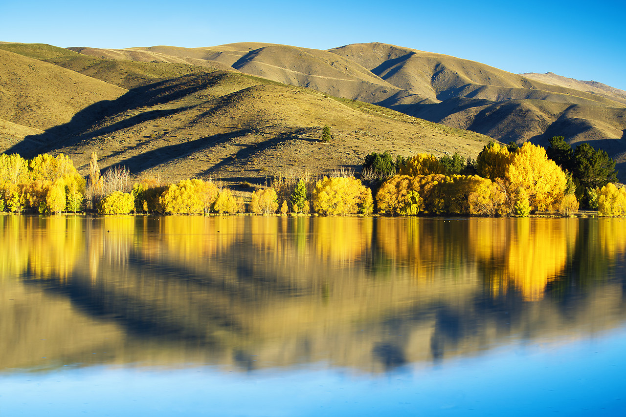 #160263-1 - Wairepo Arm Reflections in Autumn, New Zealand