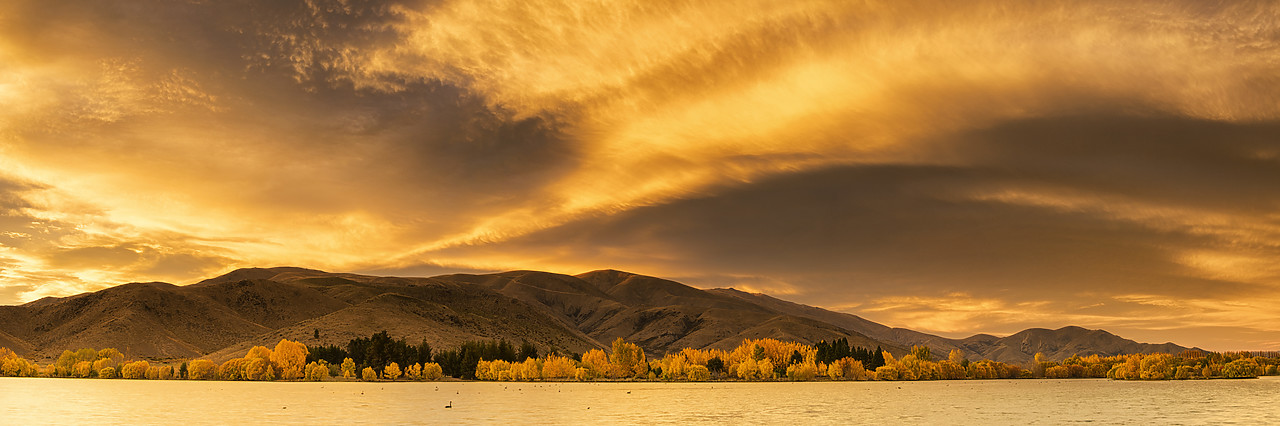 #160264-1 - Wairepo Arm in Autumn, New Zealand