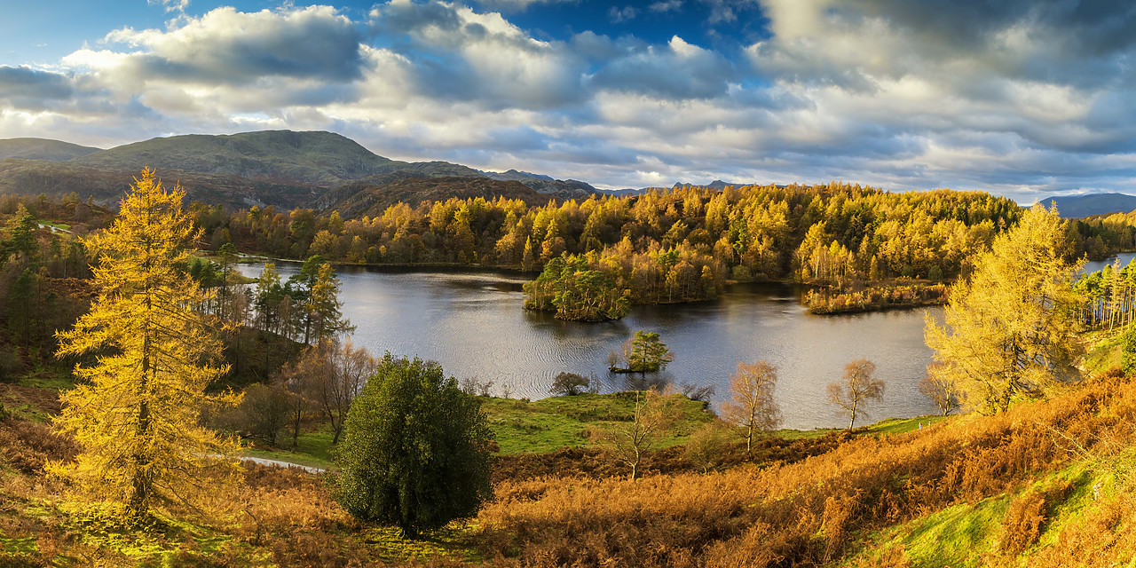 #160422-1 - Tarn Hows in Autumn, Lake District National Park, Cumbria, England