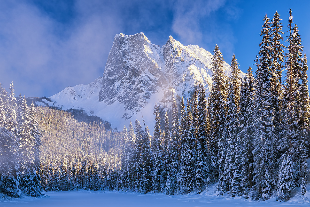 #170013-1 - Mt. Burgess & Snow-covered Pine Trees, Yoho National Park, British Columbia, Canada