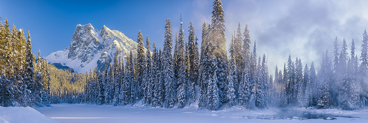 #170014-1 - Mt. Burgess & Snow-covered Pine Trees, Yoho National Park, British Columbia, Canada