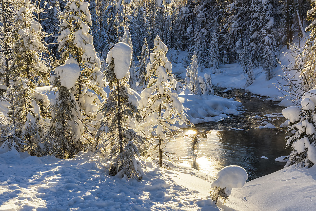 #170025-1 - Emerald River in Winter, Yoho National Park, British Columbia, Canada