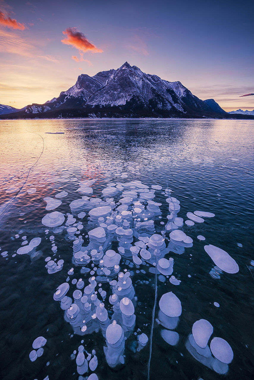 #170032-1 - Mt. Michener & Frozen Bubbles in Abraham Lake at Sunrise, Kootenay Plains, Alberta, Canada