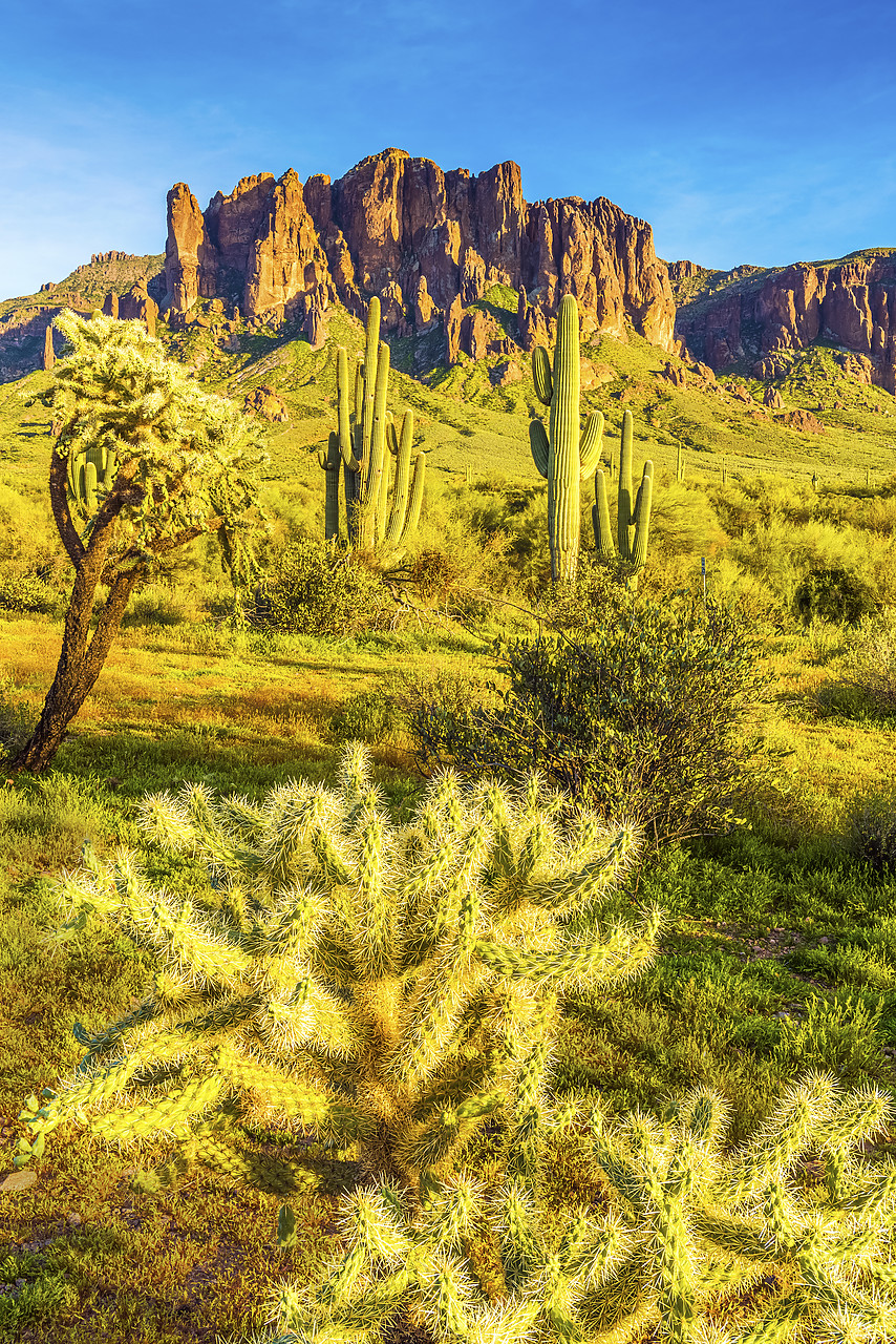 #170107-1 - Superstition Mountains, Phoenix, Arizona, USA