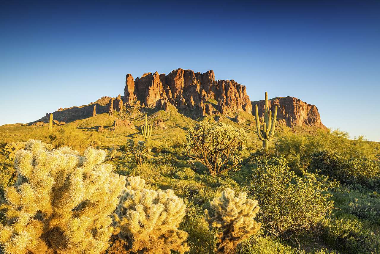 #170109-1 - Superstition Mountains, Phoenix, Arizona, USA