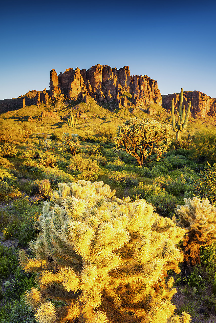 #170109-2 - Superstition Mountains, Phoenix, Arizona, USA