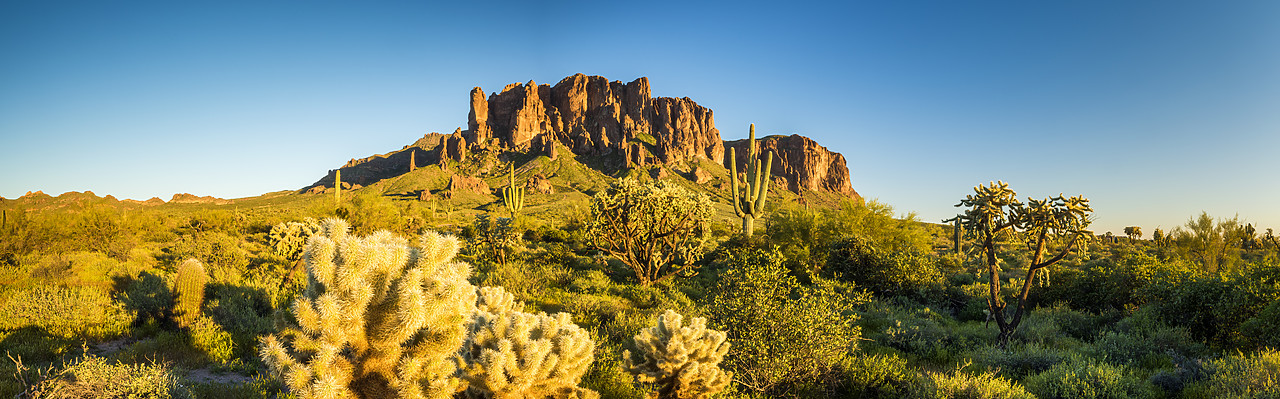 #170109-3 - Superstition Mountains, Phoenix, Arizona, USA