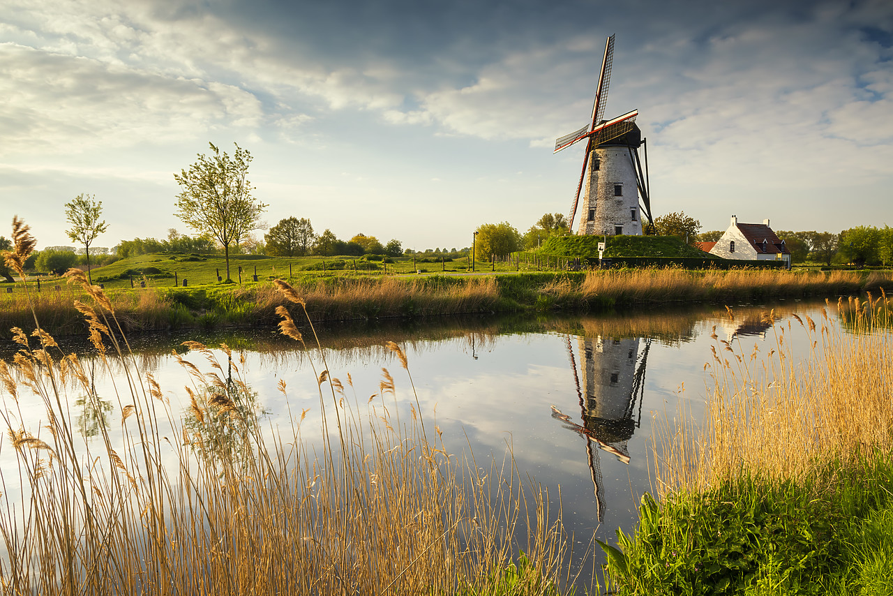 #170308-1 - Hoeke Windmill Reflecting in Canal, Damme, Belgium