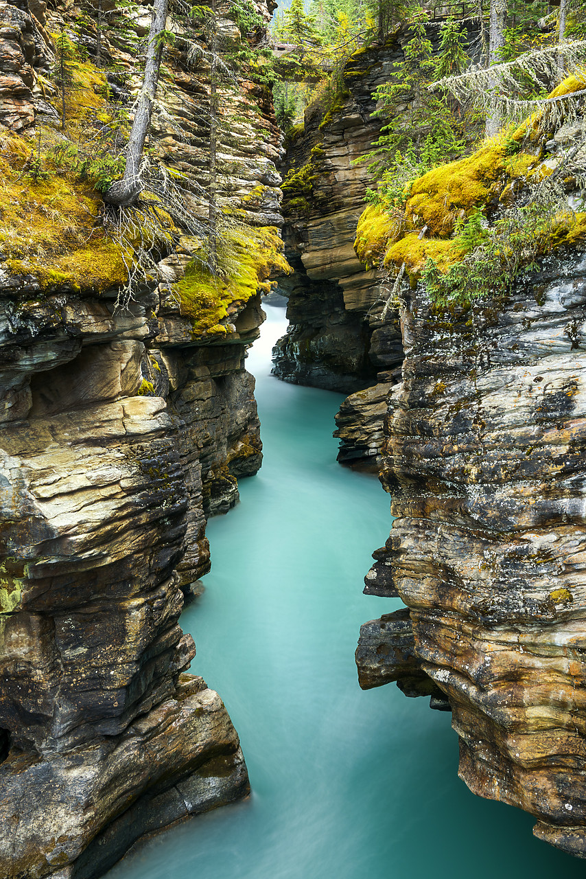 #170349-1 - Athabasca River Gorge, Jasper National Park, Alberta, Canada