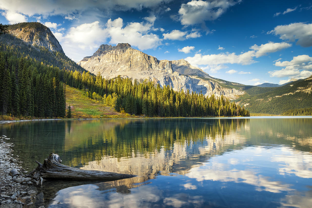 #170377-1 - Emerald Lake Reflections, Yoho National Park, British Columbia, Canada