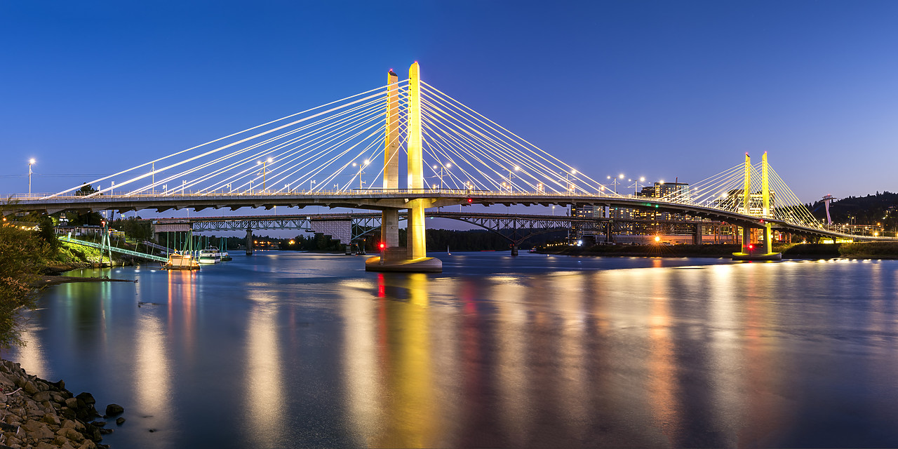 #170435-1 - Tilikum Crossing Bridge at Night, Portland, Oregon, USA
