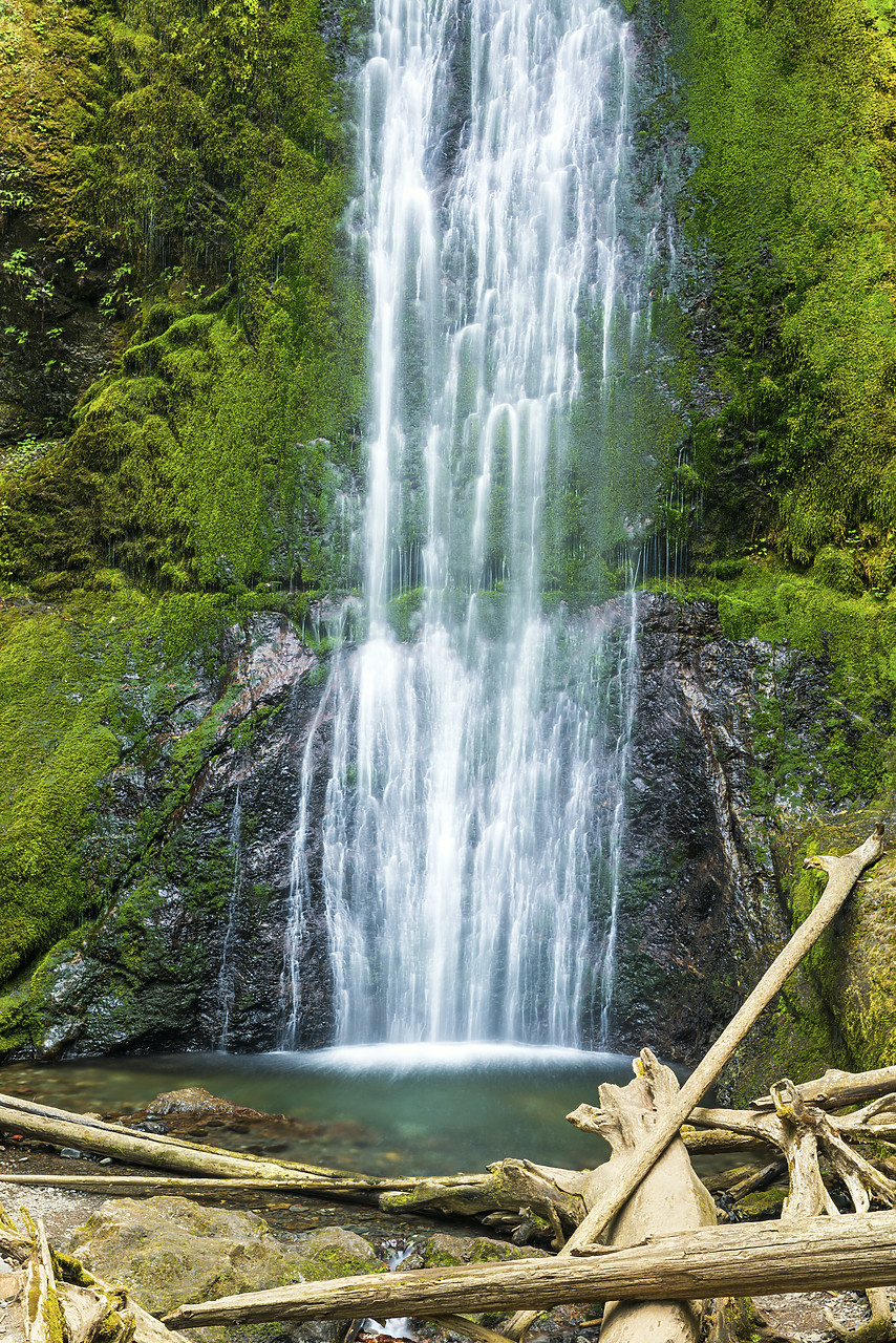 #170445-1 - Marymere Falls, Olympic National Park, Washington, USA