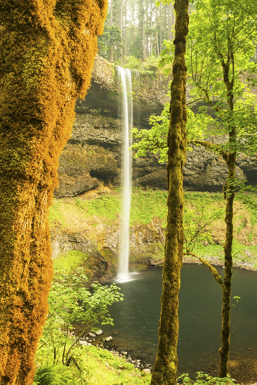 #170456-1 - South Falls, Silver Falls State Park, Oregon, USA