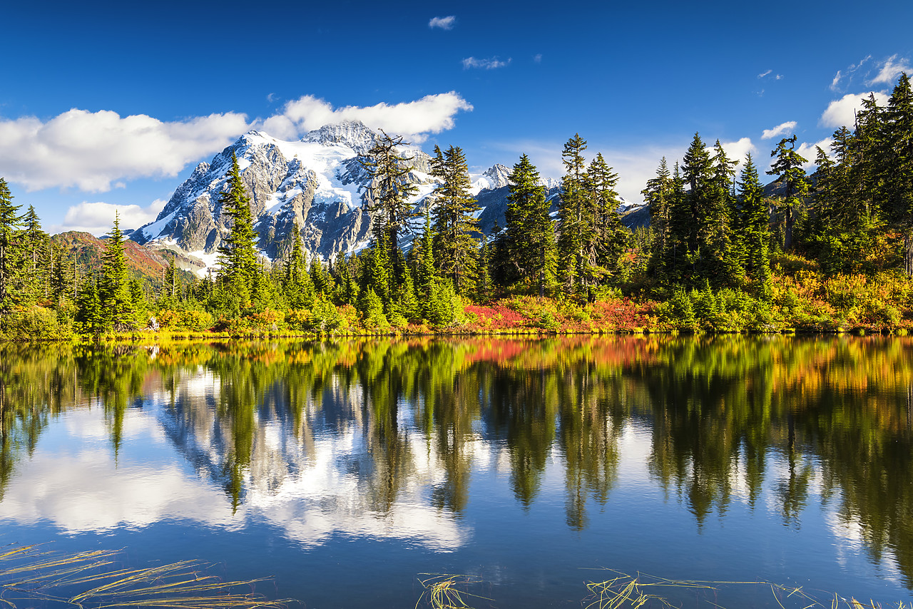 #170466-1 - Mount Shuksan Reflecting in Highwood Lake, Mt. Baker-Snoqualmie National Forest, Washington, USA