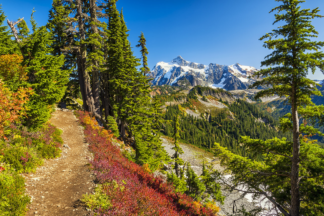 #170476-1 - Alpine Path in Autumn, Mt. Baker-Snoqualmie National Forest, Washington, USA