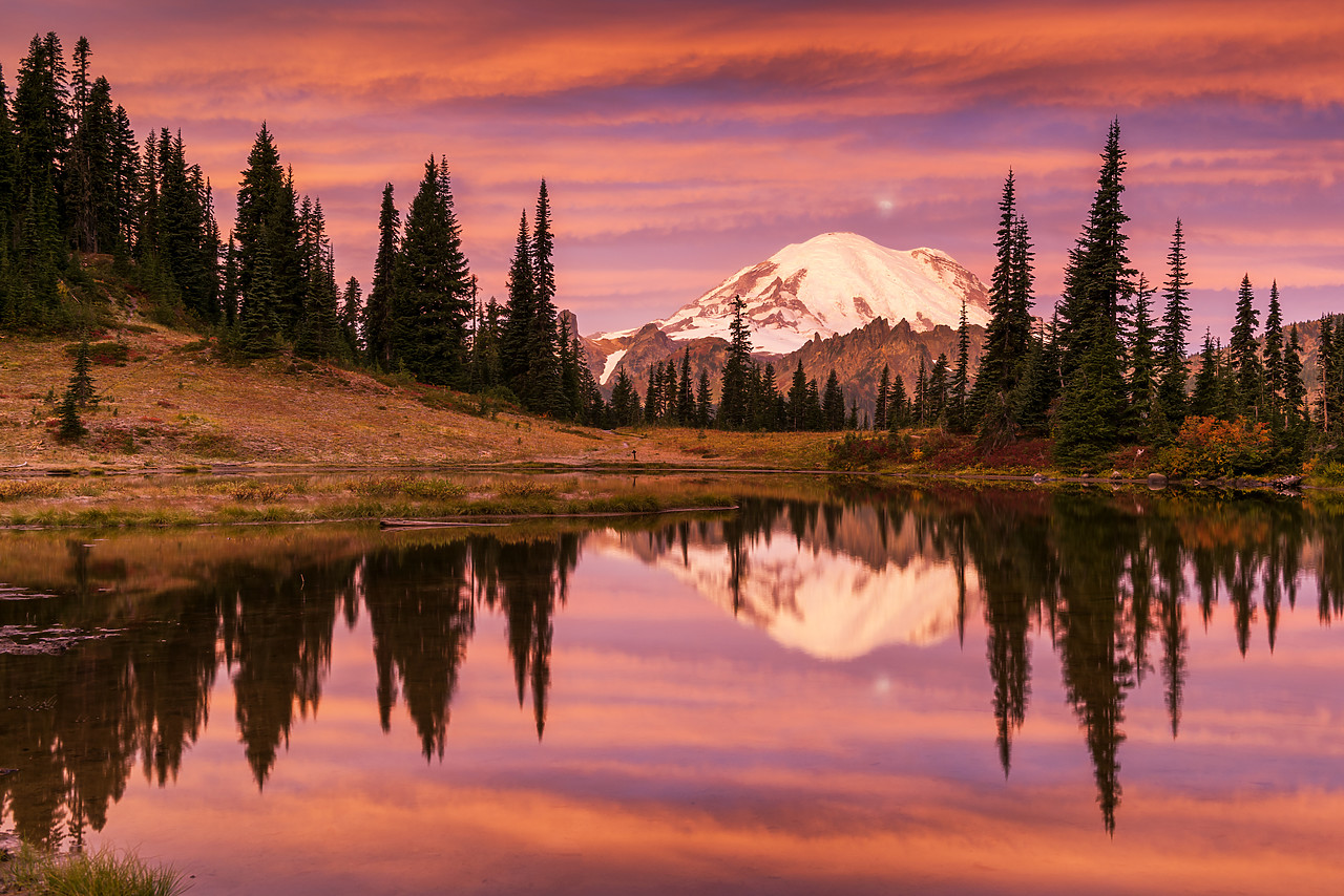 #170496-1 - Mt. Rainier Reflecting in Tipsoo Lake at Sunrise, Mt. Rainier National Park, Washington, USA