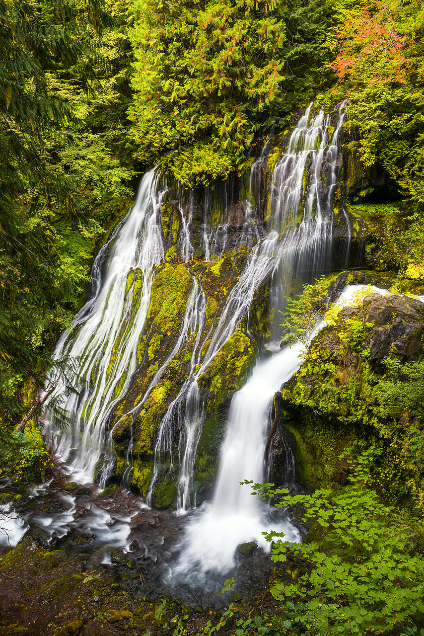 #170499-1 - Panther Creek Falls, Gifford Pinchot National Forest, Washington, USA