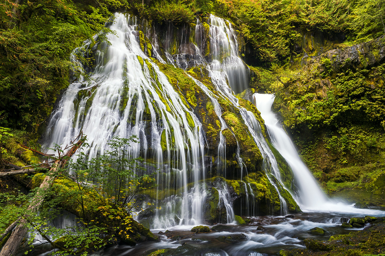 #170500-1 - Panther Creek Falls, Gifford Pinchot National Forest, Washington, USA