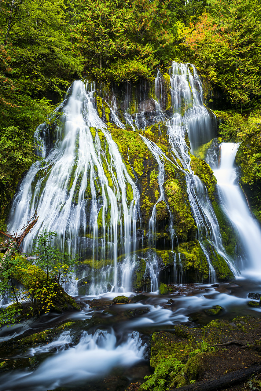 #170500-2 - Panther Creek Falls, Gifford Pinchot National Forest, Washington, USA