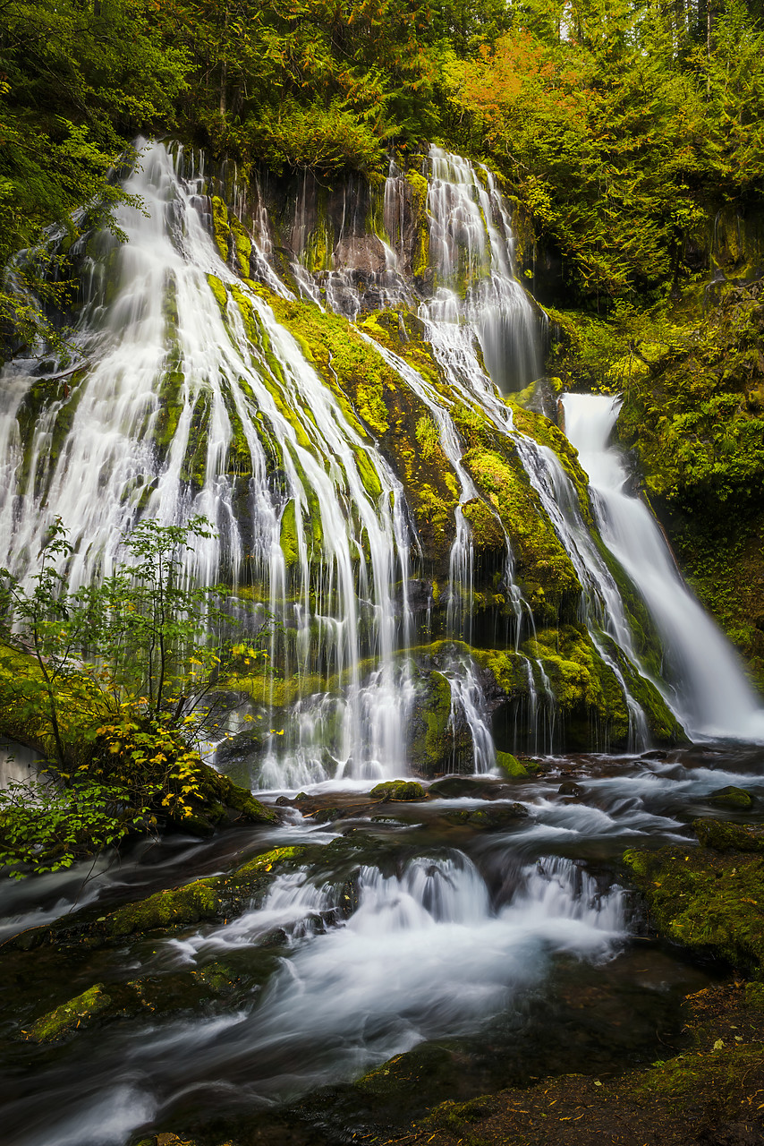 #170500-3 - Panther Creek Falls, Gifford Pinchot National Forest, Washington, USA