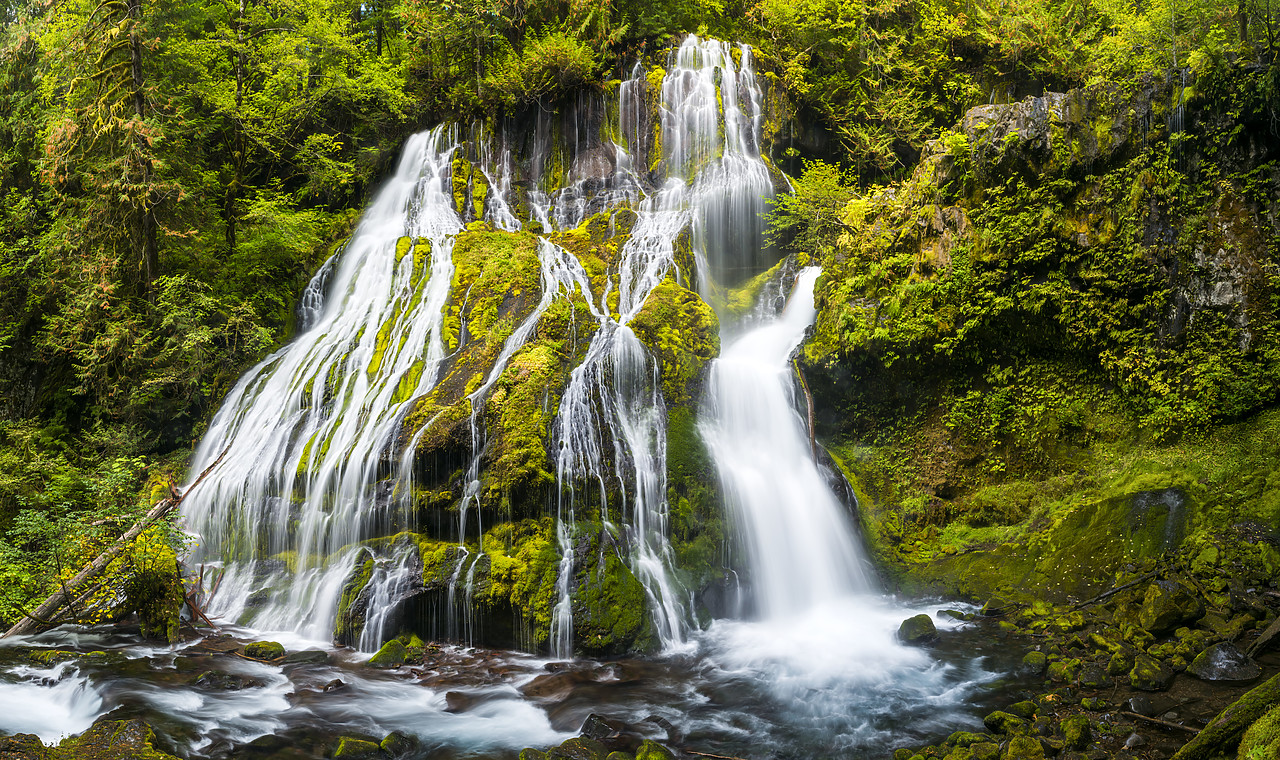 #170501-1 - Panther Creek Falls, Gifford Pinchot National Forest, Washington, USA
